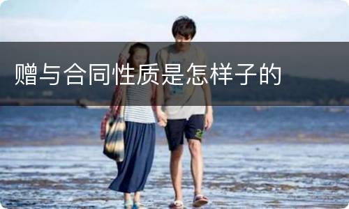 赠与合同性质是怎样子的