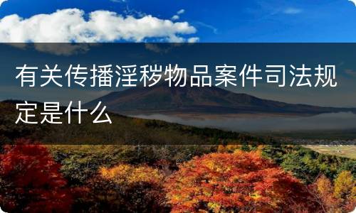 有关传播淫秽物品案件司法规定是什么