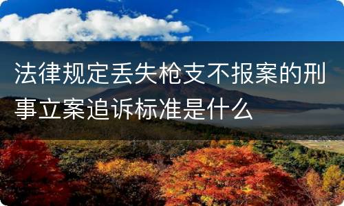 法律规定丢失枪支不报案的刑事立案追诉标准是什么