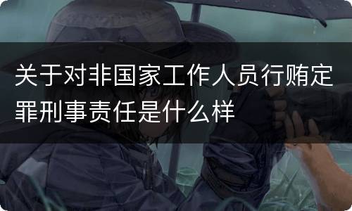 关于对非国家工作人员行贿定罪刑事责任是什么样