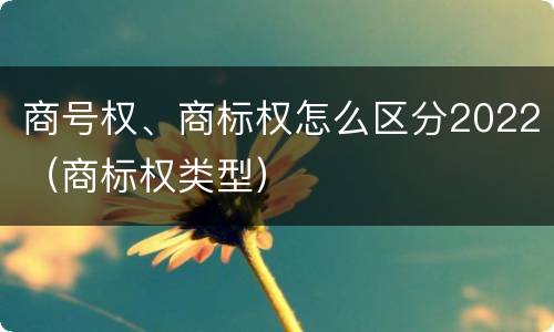 商号权、商标权怎么区分2022（商标权类型）