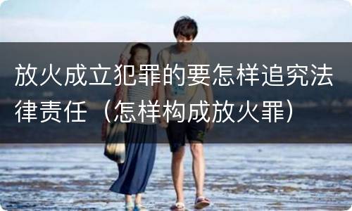 放火成立犯罪的要怎样追究法律责任（怎样构成放火罪）