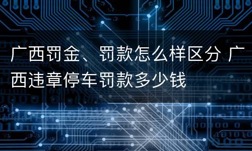 广西罚金、罚款怎么样区分 广西违章停车罚款多少钱