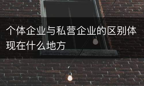 个体企业与私营企业的区别体现在什么地方