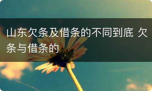 山东欠条及借条的不同到底 欠条与借条的