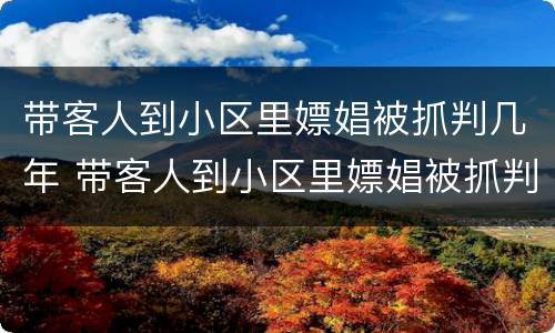 带客人到小区里嫖娼被抓判几年 带客人到小区里嫖娼被抓判几年刑期