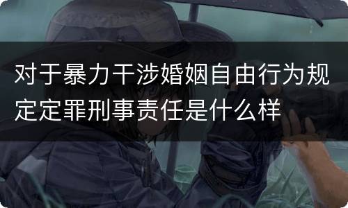 对于暴力干涉婚姻自由行为规定定罪刑事责任是什么样