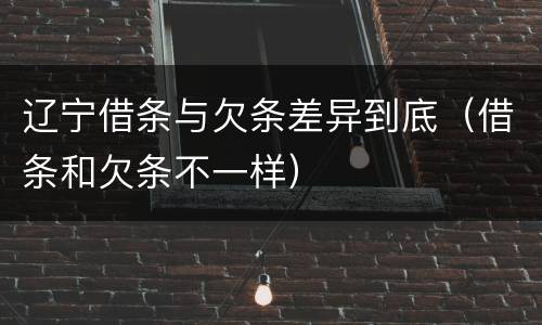辽宁借条与欠条差异到底（借条和欠条不一样）