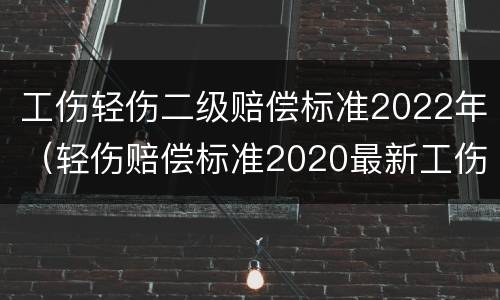 工伤轻伤二级赔偿标准2022年（轻伤赔偿标准2020最新工伤赔偿标准）