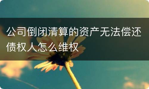 公司倒闭清算的资产无法偿还债权人怎么维权