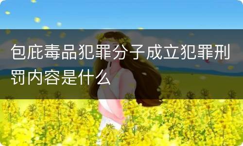 包庇毒品犯罪分子成立犯罪刑罚内容是什么