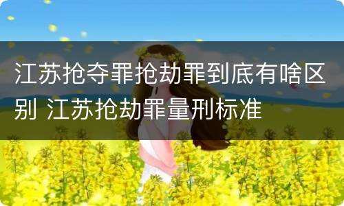 江苏抢夺罪抢劫罪到底有啥区别 江苏抢劫罪量刑标准