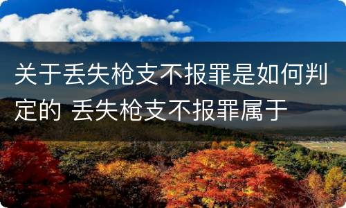 关于丢失枪支不报罪是如何判定的 丢失枪支不报罪属于