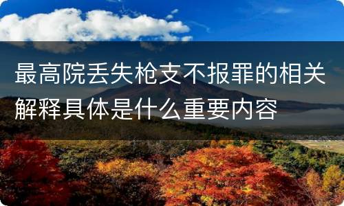 最高院丢失枪支不报罪的相关解释具体是什么重要内容