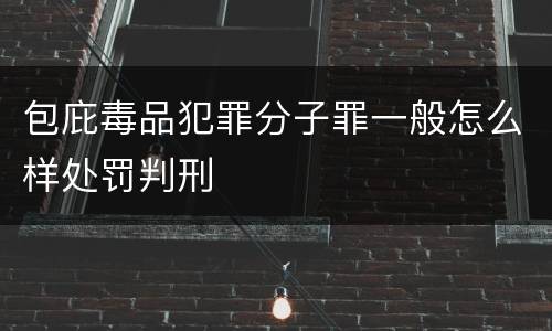 包庇毒品犯罪分子罪一般怎么样处罚判刑