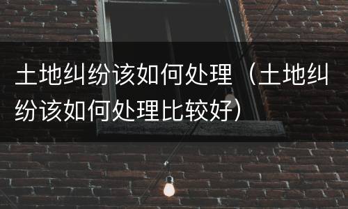 土地纠纷该如何处理（土地纠纷该如何处理比较好）
