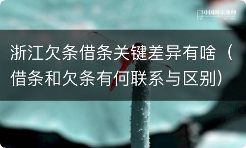 浙江欠条借条关键差异有啥（借条和欠条有何联系与区别）