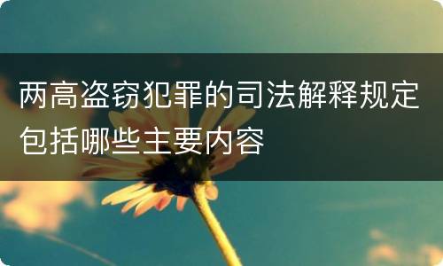 两高盗窃犯罪的司法解释规定包括哪些主要内容