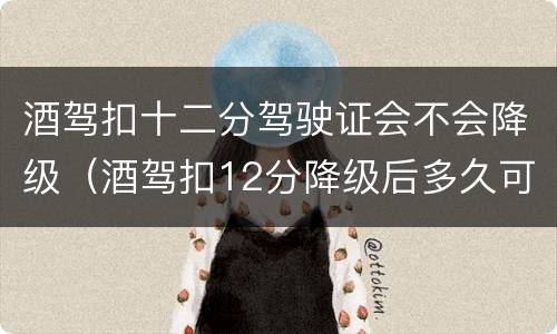 酒驾扣十二分驾驶证会不会降级（酒驾扣12分降级后多久可以再升级）