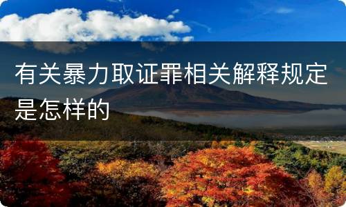有关暴力取证罪相关解释规定是怎样的
