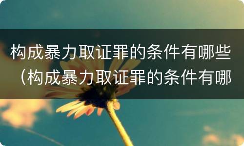 构成暴力取证罪的条件有哪些（构成暴力取证罪的条件有哪些呢）
