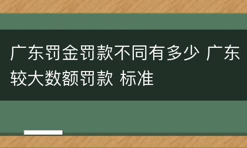 广东罚金罚款不同有多少 广东较大数额罚款 标准