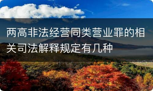 两高非法经营同类营业罪的相关司法解释规定有几种