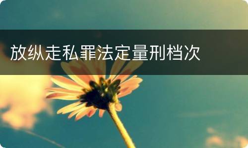 放纵走私罪法定量刑档次