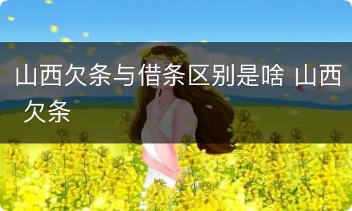 山西欠条与借条区别是啥 山西 欠条