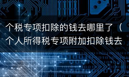个税专项扣除的钱去哪里了（个人所得税专项附加扣除钱去哪儿）