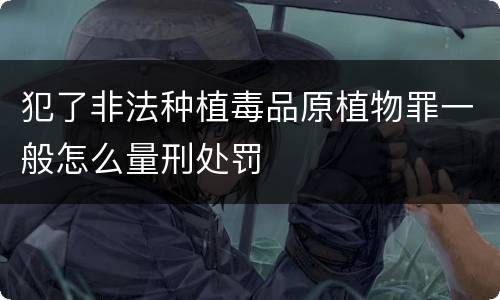 犯了非法种植毒品原植物罪一般怎么量刑处罚