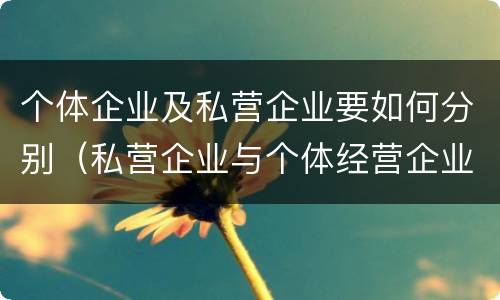 个体企业及私营企业要如何分别（私营企业与个体经营企业的区别）