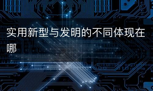 实用新型与发明的不同体现在哪