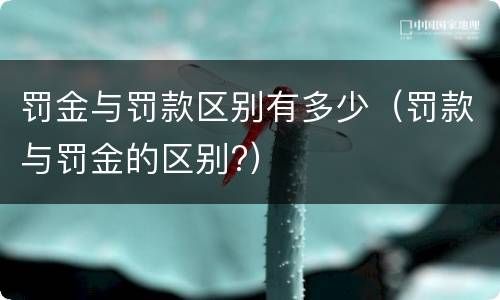 罚金与罚款区别有多少（罚款与罚金的区别?）