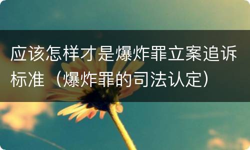 应该怎样才是爆炸罪立案追诉标准（爆炸罪的司法认定）