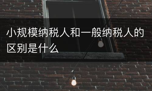 小规模纳税人和一般纳税人的区别是什么