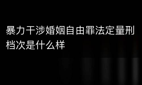 暴力干涉婚姻自由罪法定量刑档次是什么样