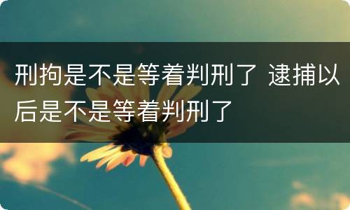 刑拘是不是等着判刑了 逮捕以后是不是等着判刑了