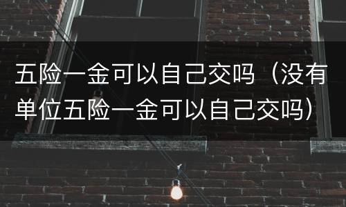 五险一金可以自己交吗（没有单位五险一金可以自己交吗）
