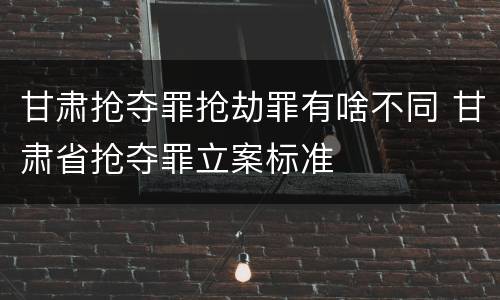 甘肃抢夺罪抢劫罪有啥不同 甘肃省抢夺罪立案标准