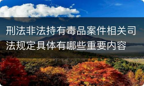 刑法非法持有毒品案件相关司法规定具体有哪些重要内容