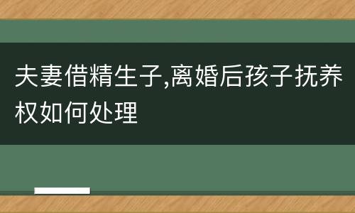 夫妻借精生子,离婚后孩子抚养权如何处理