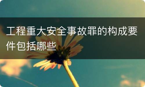 工程重大安全事故罪的构成要件包括哪些