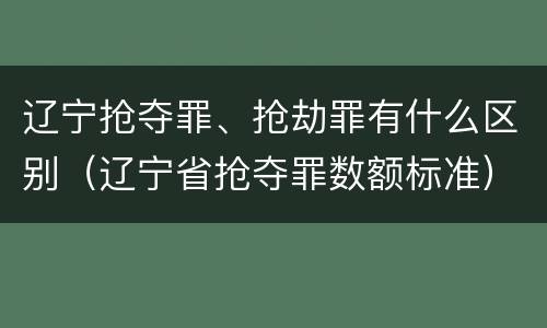 辽宁抢夺罪、抢劫罪有什么区别（辽宁省抢夺罪数额标准）