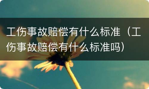 工伤事故赔偿有什么标准（工伤事故赔偿有什么标准吗）