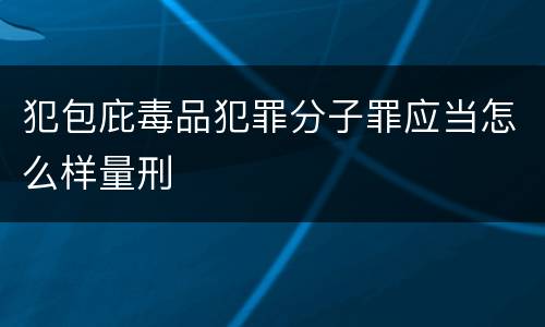 犯包庇毒品犯罪分子罪应当怎么样量刑