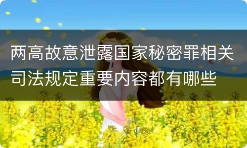 两高故意泄露国家秘密罪相关司法规定重要内容都有哪些