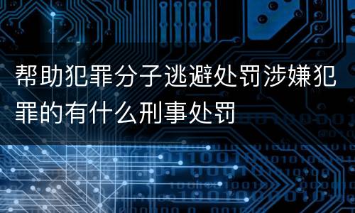 帮助犯罪分子逃避处罚涉嫌犯罪的有什么刑事处罚