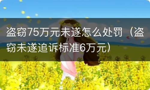 盗窃75万元未遂怎么处罚（盗窃未遂追诉标准6万元）