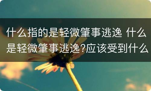 什么指的是轻微肇事逃逸 什么是轻微肇事逃逸?应该受到什么惩罚